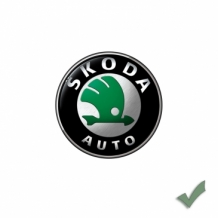 images/categorieimages/Skoda logo.jpg
